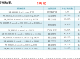 无靶点 her2扩增 二线白紫耐药后怎么办