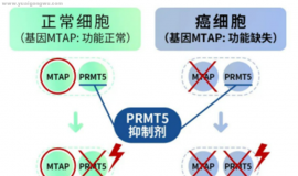 新靶点，新药物，能否为各类肺癌患者带来耐药解决方案？