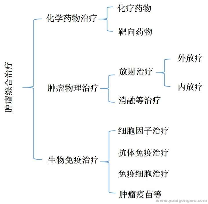 总分类