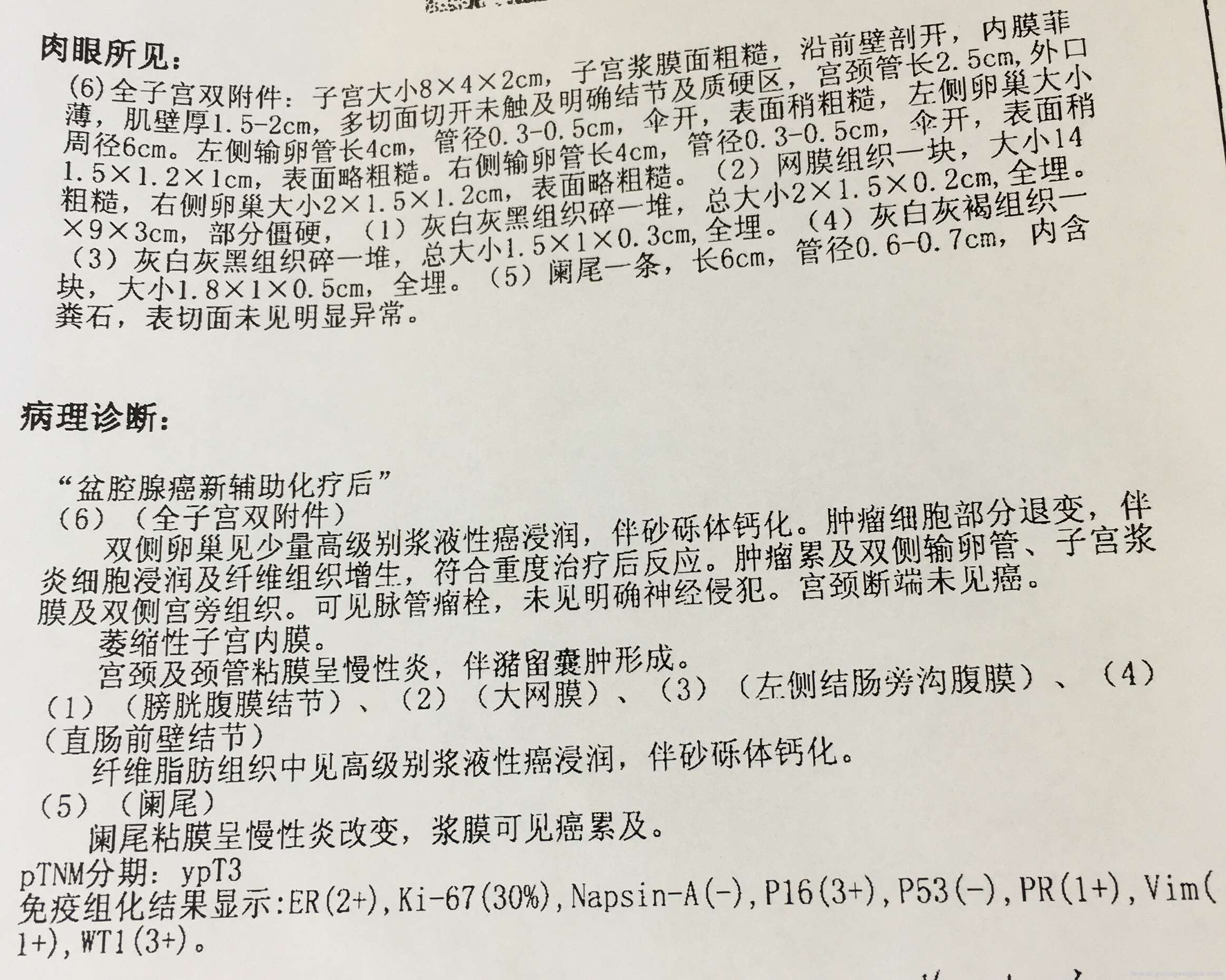 病理报告