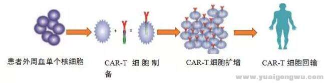 图一