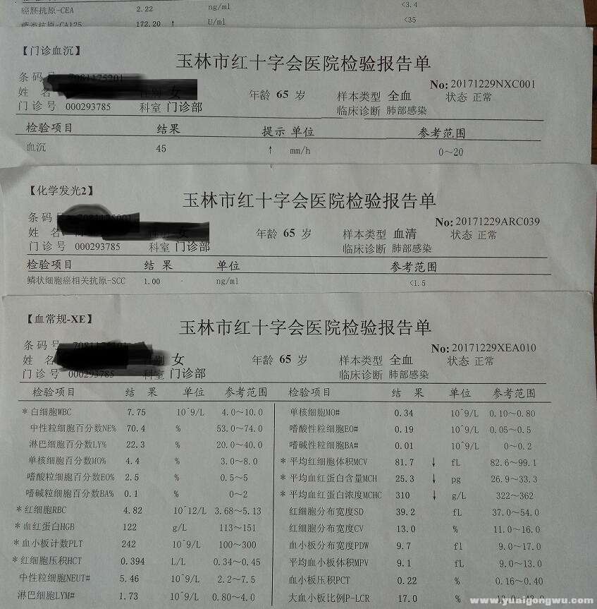 玉林红十字会血检2017年12月29日