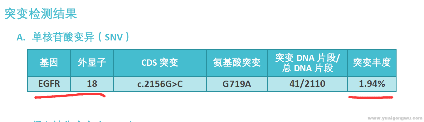 18外显子突变