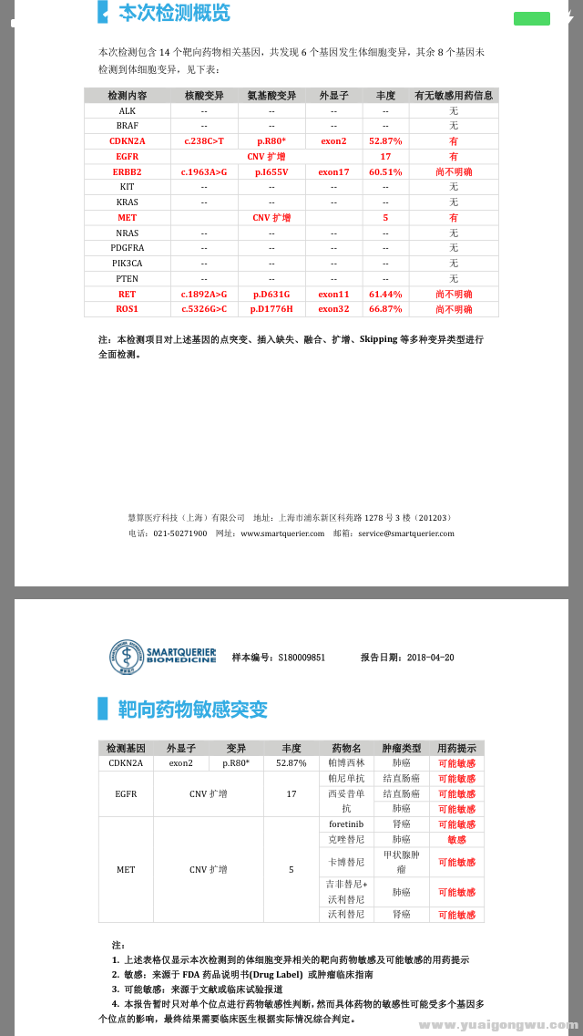 基因检测结果