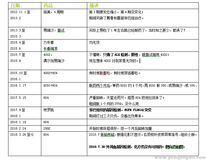 简短的治疗经过