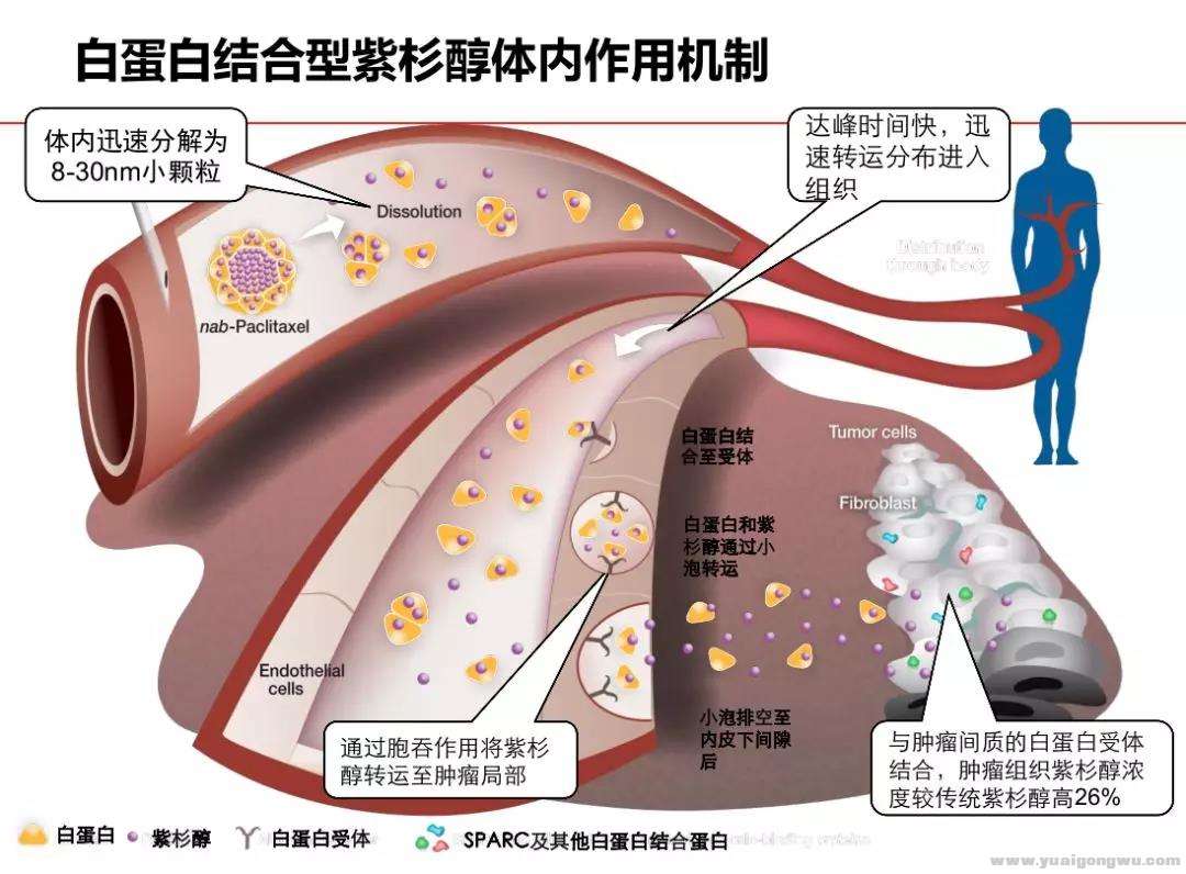 微信图片_20190513143838.jpg