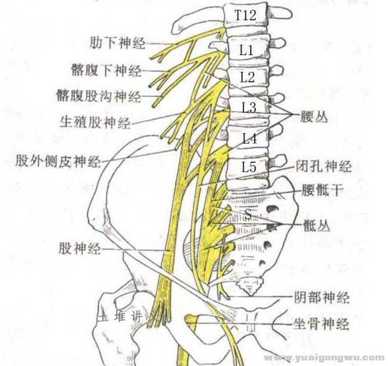 微信图片_20200506140459.png