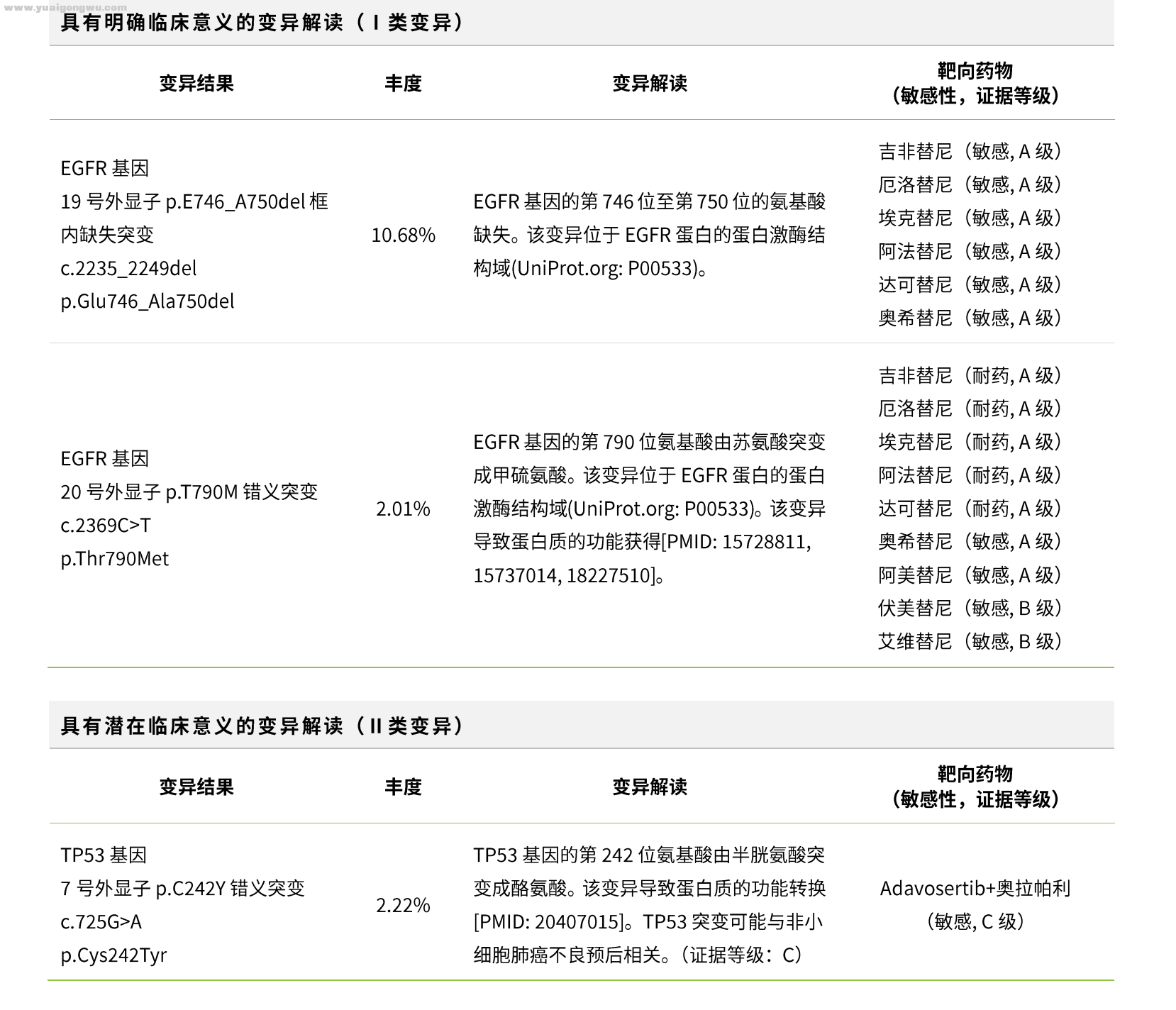 基因检测报告2