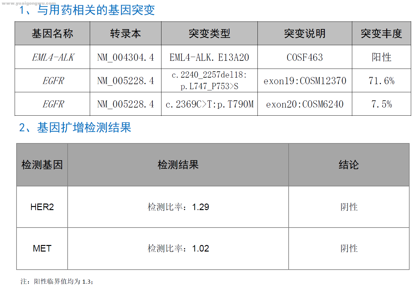 父亲基因检测